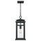 Quoizel Granby Outdoor Hanging Lantern GRB1908EK - alternate 3